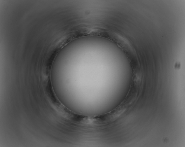 X0000094920607200712131516