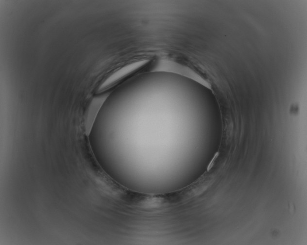 X0000094920609200712131516