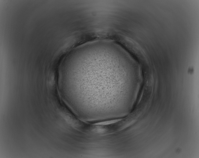 X0000094920610200712131516