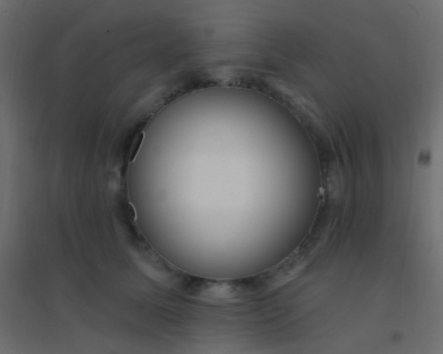 X0000094920611200712131516