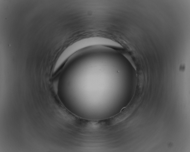 X0000094920613200712131516