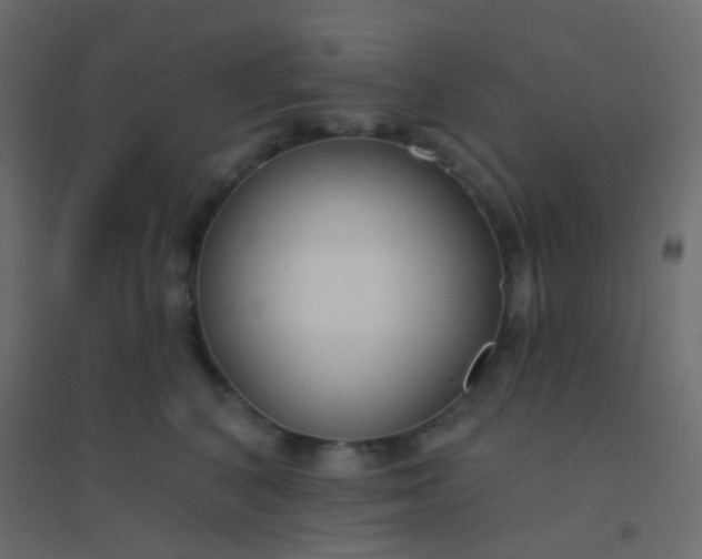 X0000094920616200712131516