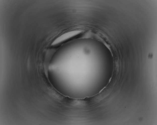 X0000094920617200712131516