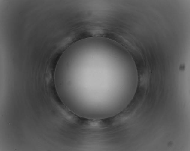 X0000094920618200712131516