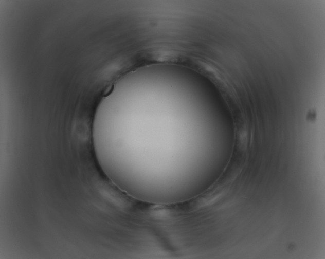 X0000094920620200712131516