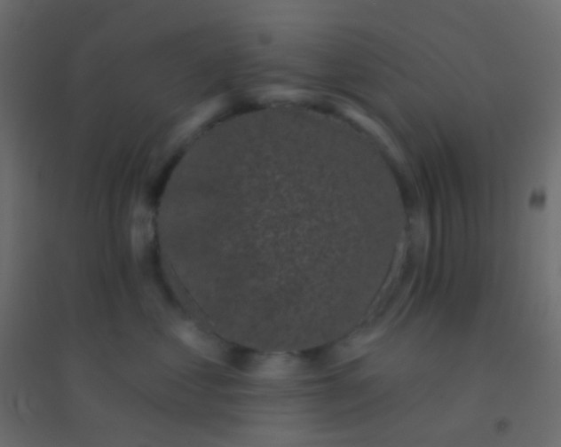 X0000094920621200712131516