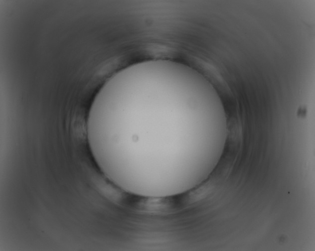 X0000094920622200712131516