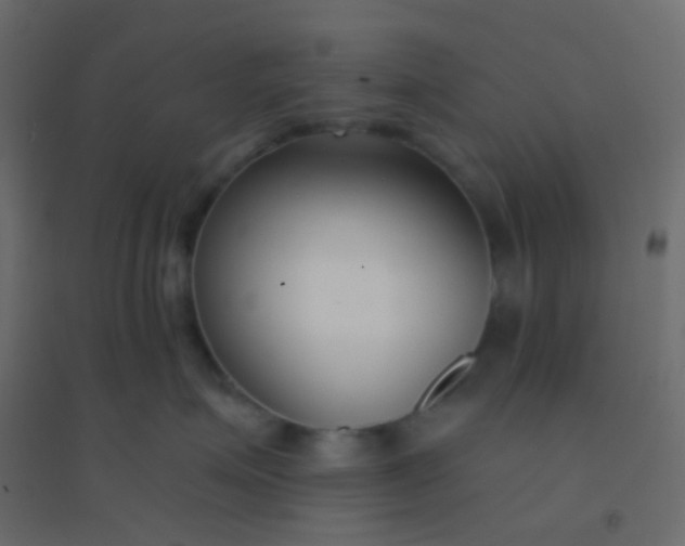 X0000094920623200712131516