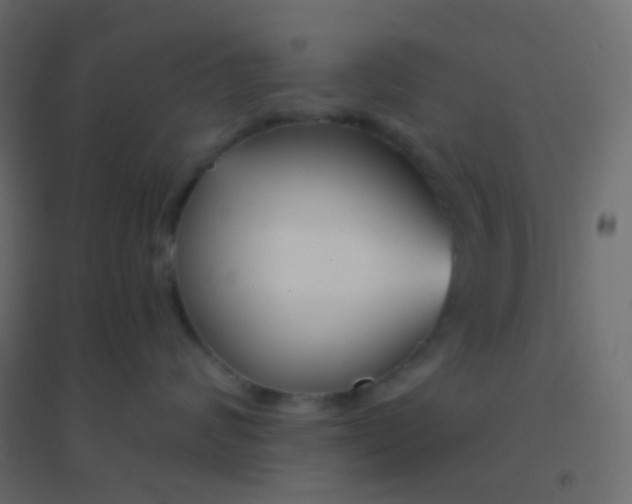 X0000094920624200712131516