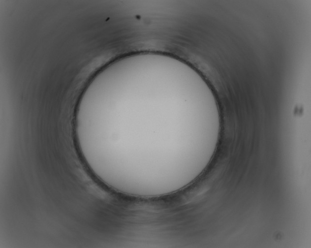 X0000094920625200712131515