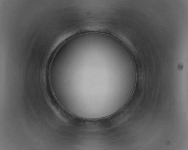 X0000094920626200712131515