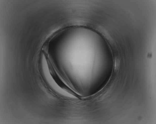 X0000094920627200712131515