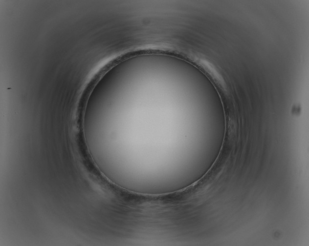 X0000094920628200712131515