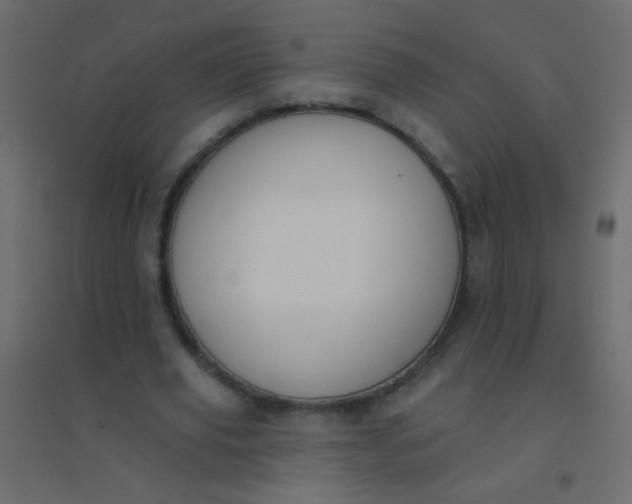 X0000094920629200712131515