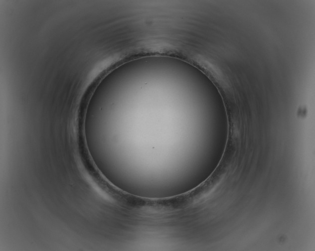 X0000094920630200712131515