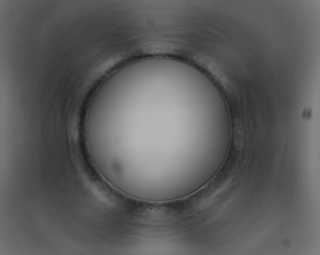 X0000094920631200712131515