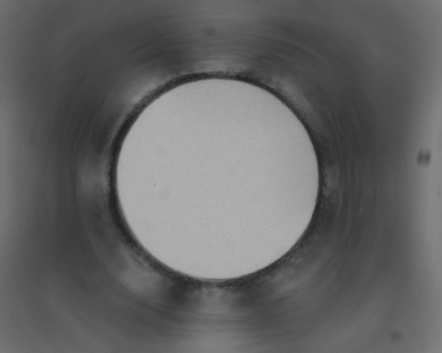 X0000094920632200712131515