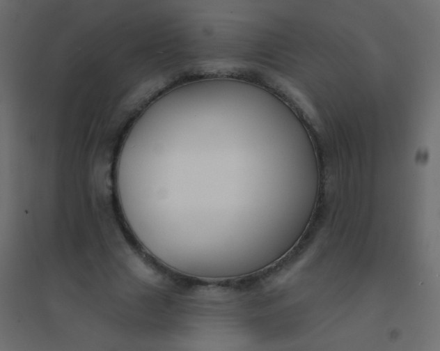 X0000094920633200712131515