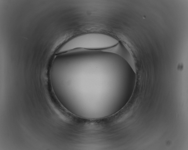 X0000094920634200712131515