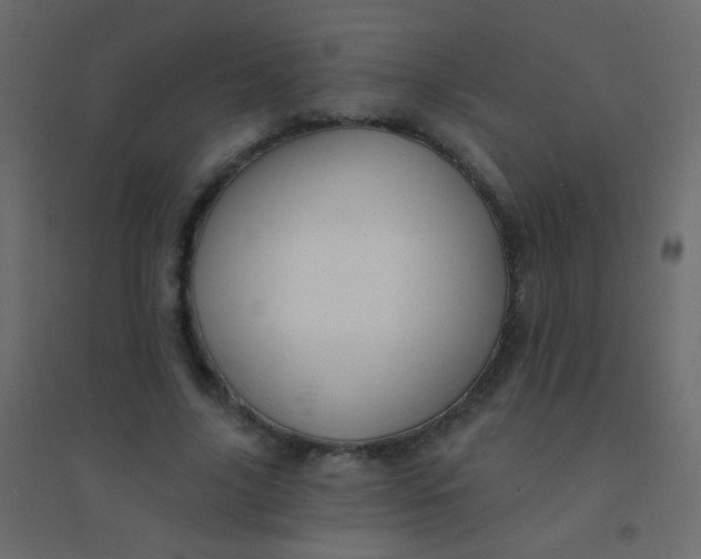 X0000094920635200712131515