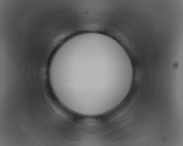 X0000094920636200712131515