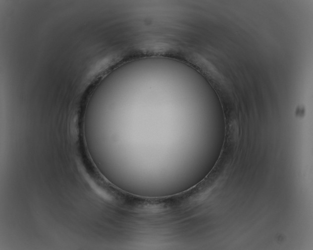 X0000094920638200712131516