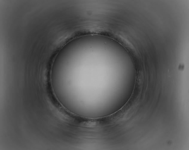 X0000094920639200712131516