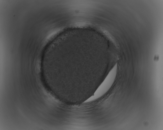 X0000094920640200712131516