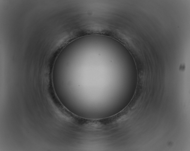 X0000094920642200712131516