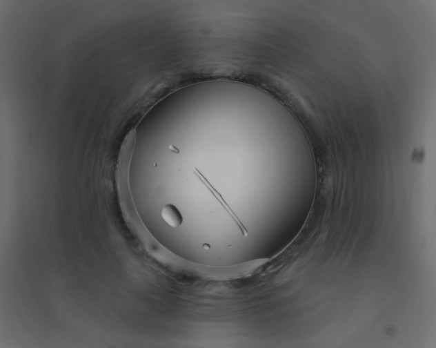 X0000094920643200712131516