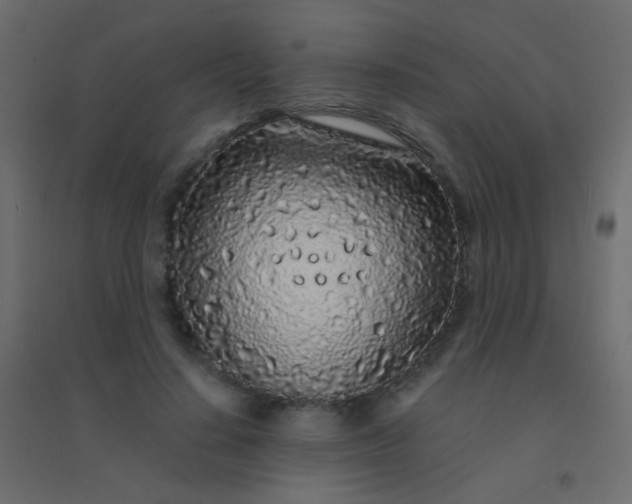 X0000094920644200712131516