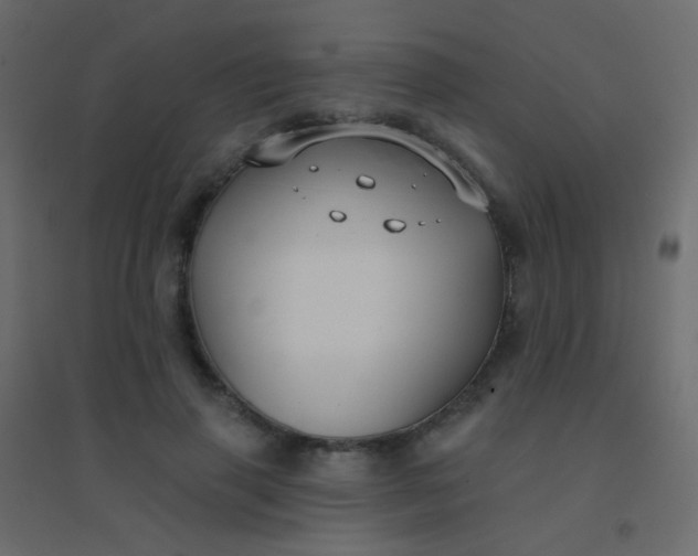 X0000094920645200712131516