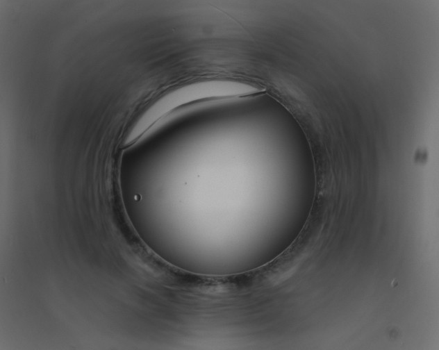 X0000094920646200712131516