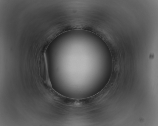 X0000094920647200712131516