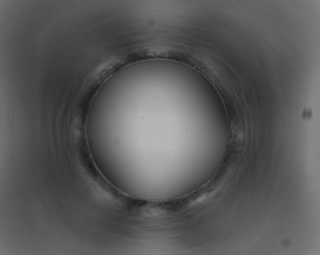 X0000094920648200712131516