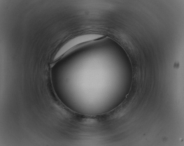 X0000094920649200712131516