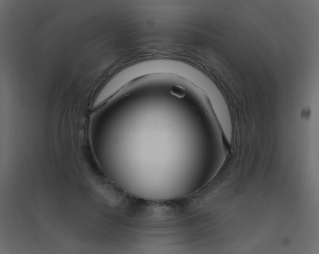 X0000094920650200712131516