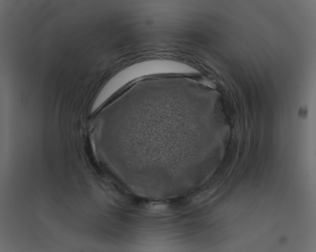 X0000094920651200712131516