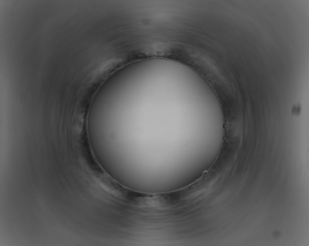 X0000094920652200712131516