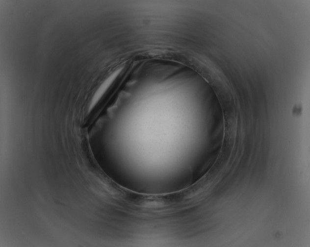 X0000094920653200712131516