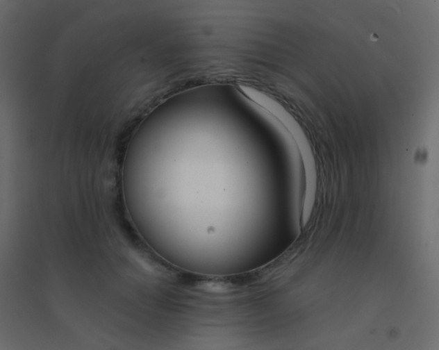 X0000094920654200712131516