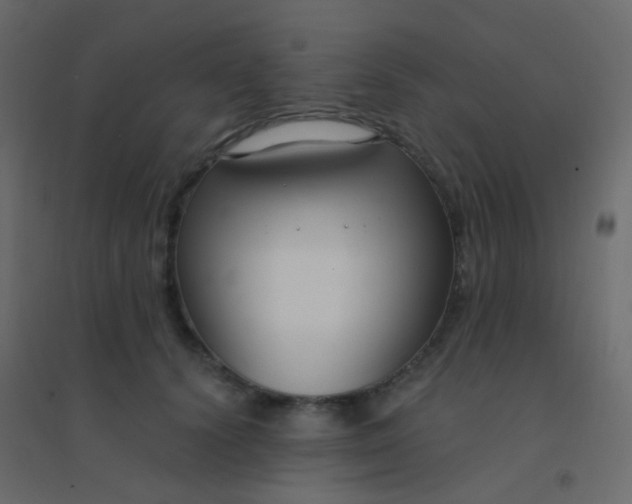 X0000094920656200712131516