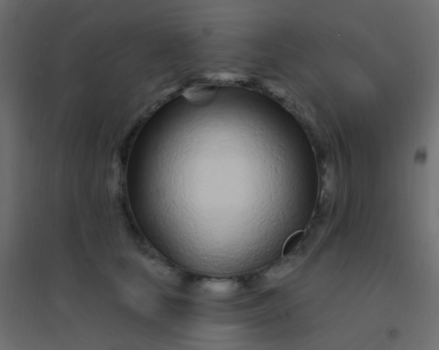 X0000094920659200712131516