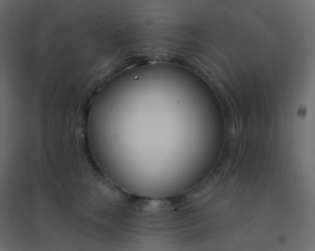 X0000094920663200712131516