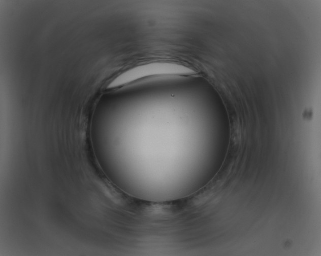 X0000094920664200712131516