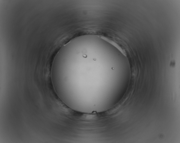 X0000094920665200712131516