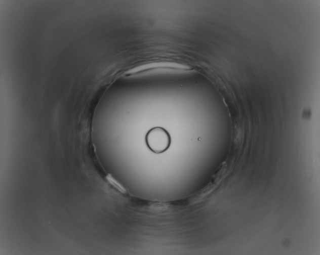 X0000094920666200712131516