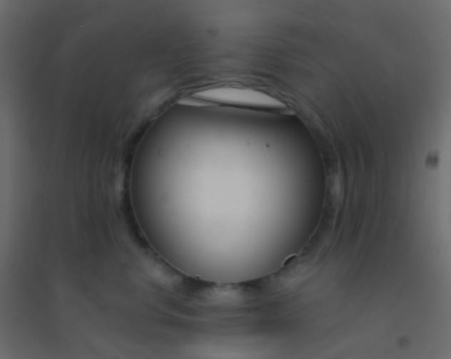 X0000094920668200712131516