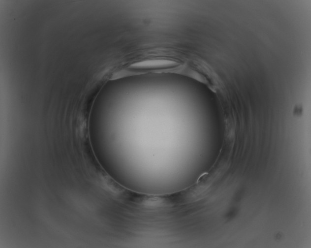 X0000094920669200712131516