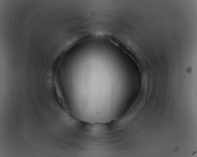 X0000094920670200712131516